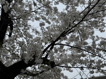 7d403414bdbdea0df540431119756fb71